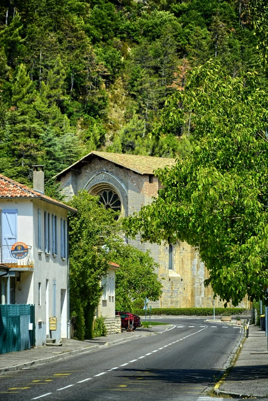 a small street with houses between two trees