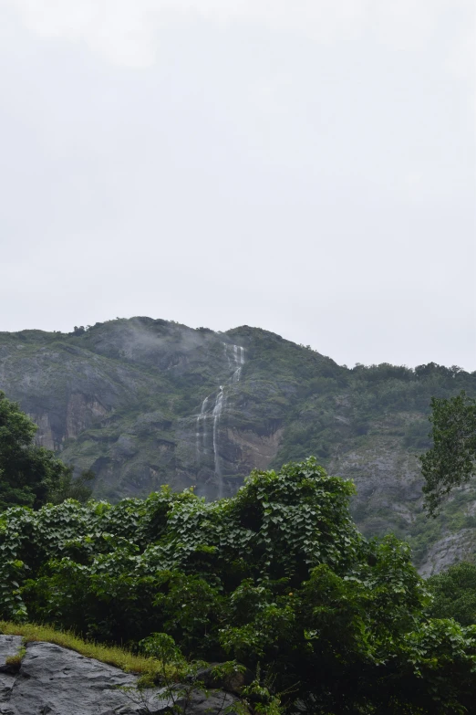 a very tall mountain with many trees on the sides