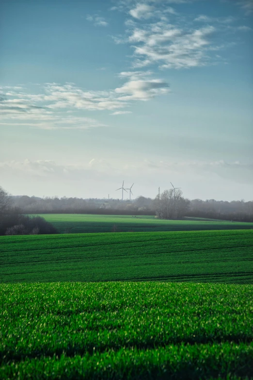 there is a field of green grass with the sky in the background