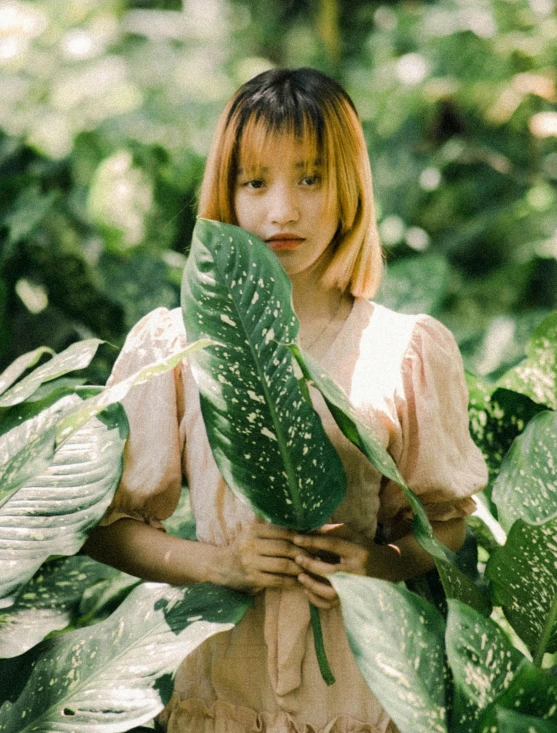 a woman stands among greenery, holding a huge plant