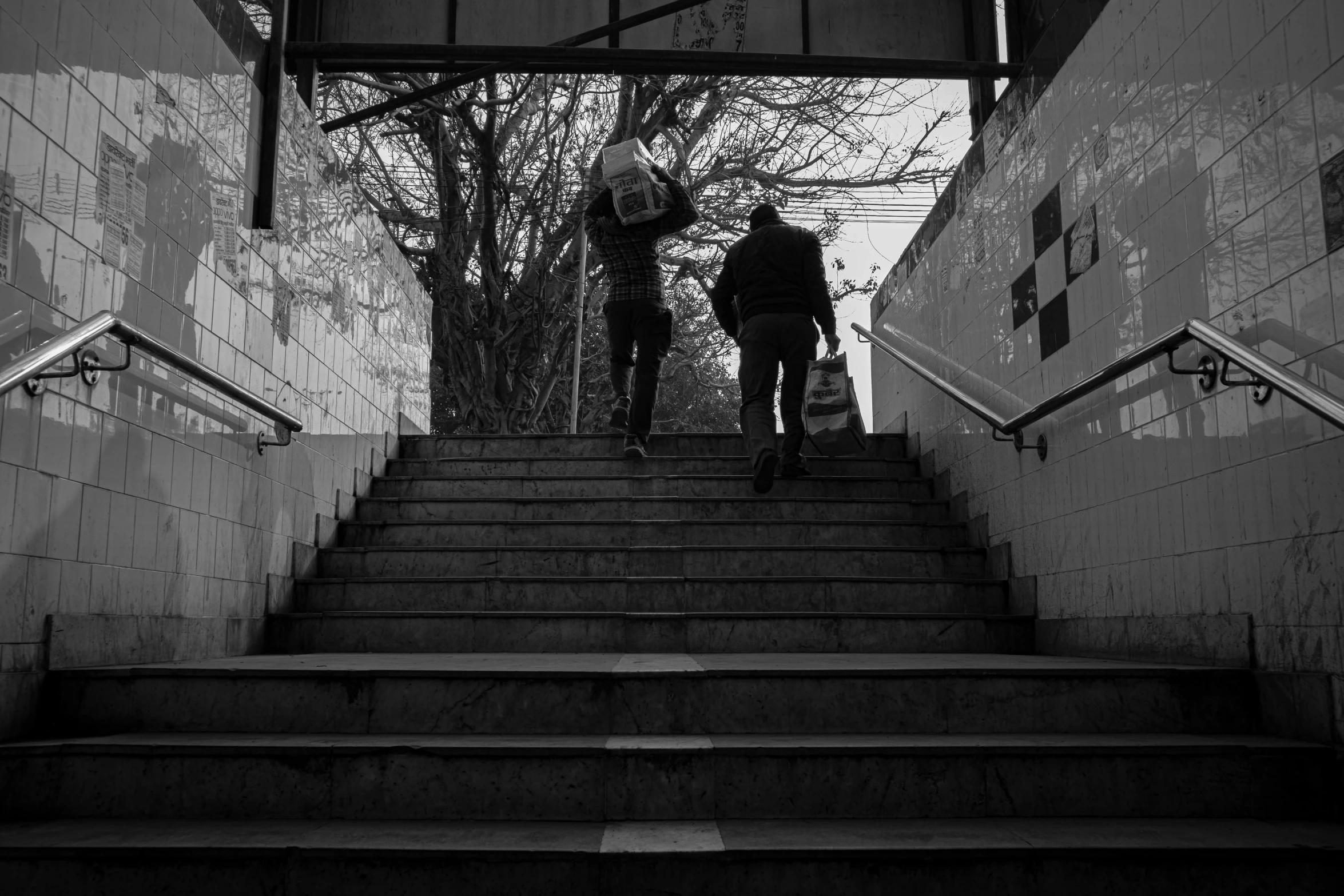 some people are walking up some stairs by trees