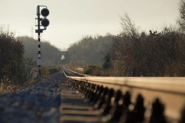 a train track running through a lush green forest