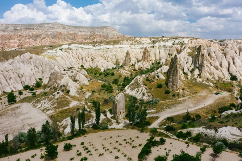 the landscape of an open area has many small trees