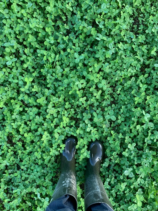 a man is standing in a field of green