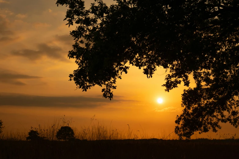 the sun is setting in a field with grass