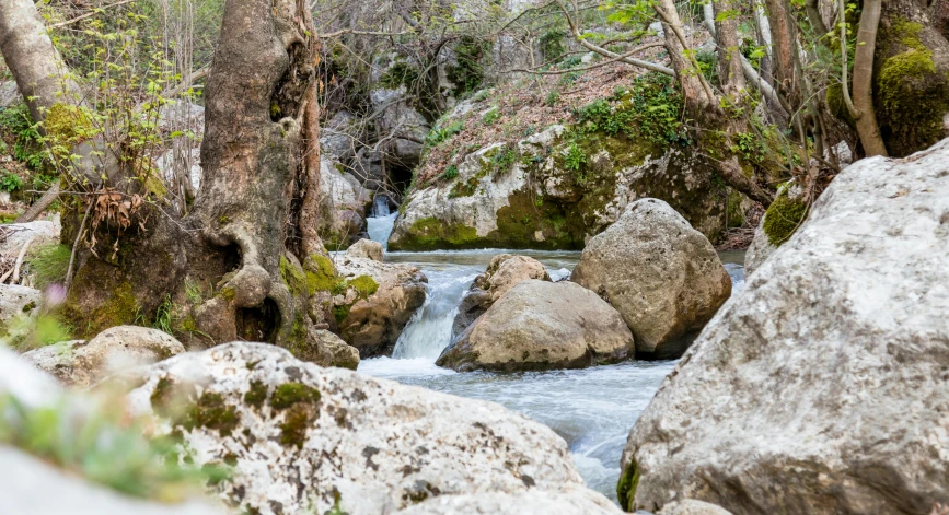 a small waterfall surrounded by boulders and a forest