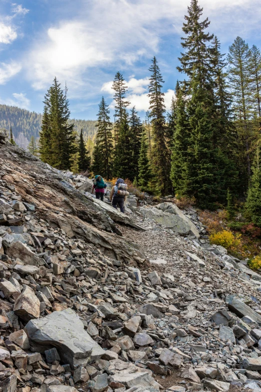 people on the rocks near the woods and a sky background