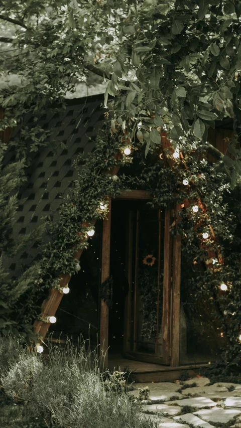 an entrance surrounded by plants with small lights on it