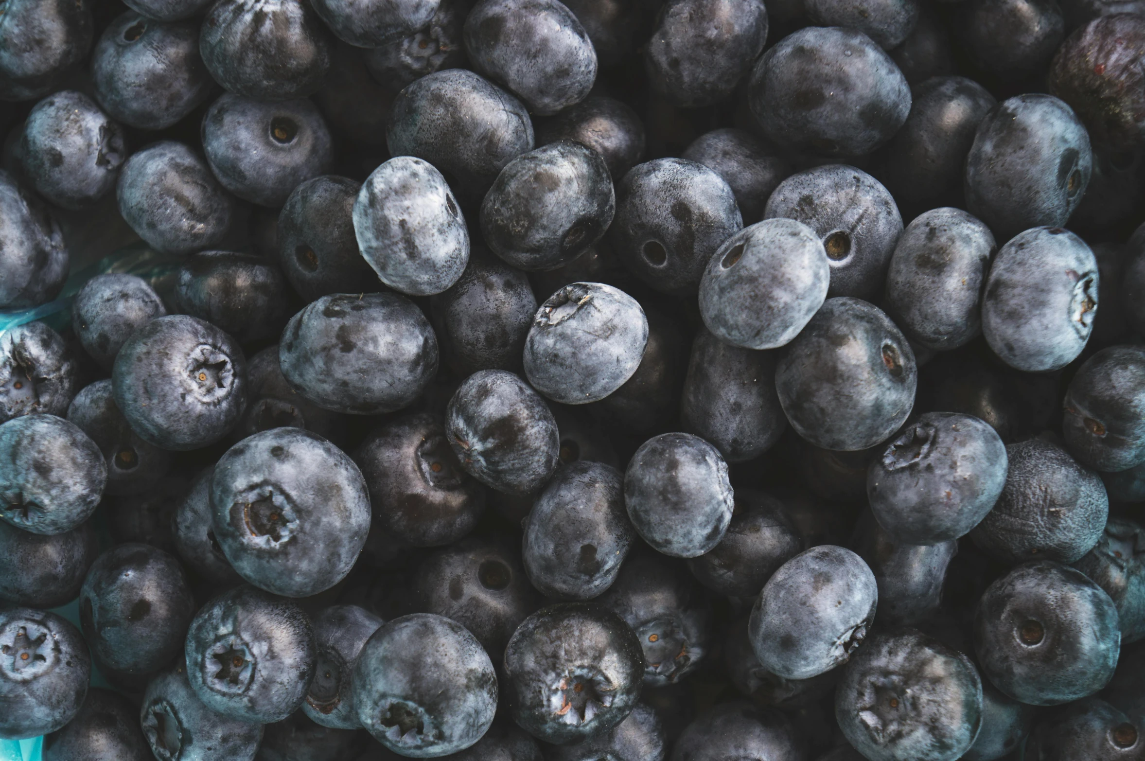 the blueberries are all in a mixture together