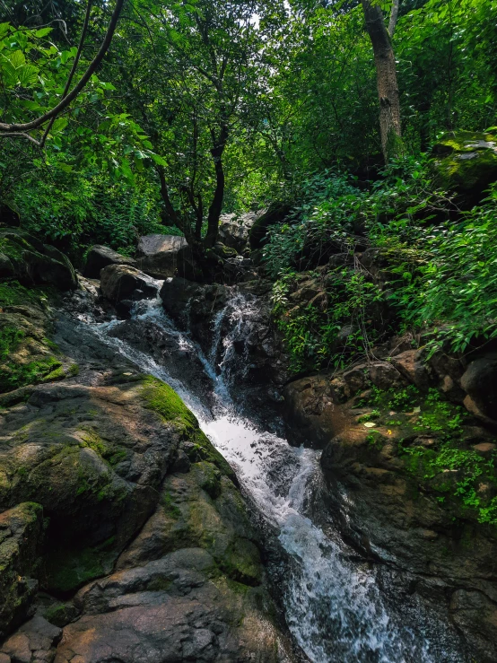 a small waterfall in the middle of a forest