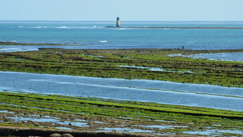 a large lighthouse in the middle of the ocean