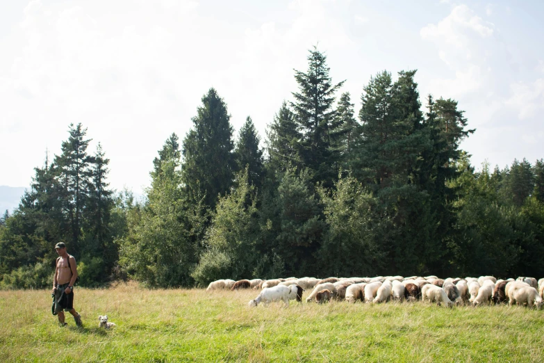 a man walking through a lush green field