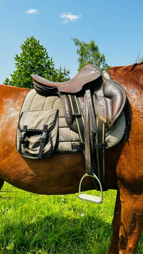 a horse with saddle and bridle grazing in the field