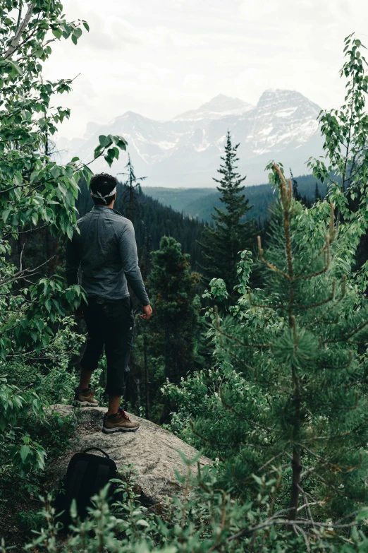 person standing on the edge of a cliff with a forest in the background