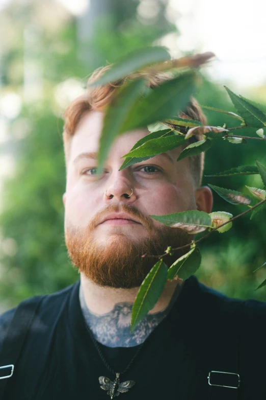 a bearded man wearing black is shown through some leaves