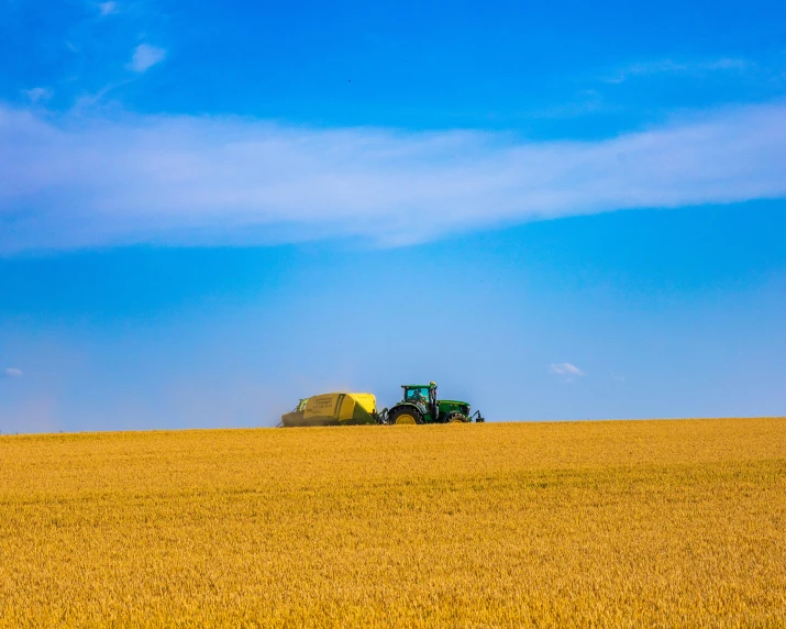 a tractor with a trailer drives past in the distance on a field of wheat