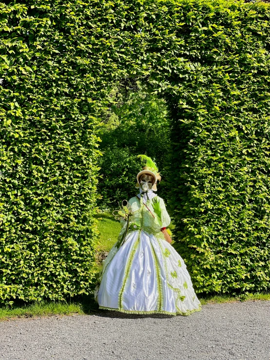 a woman dressed in a ball gown walks by some bushes