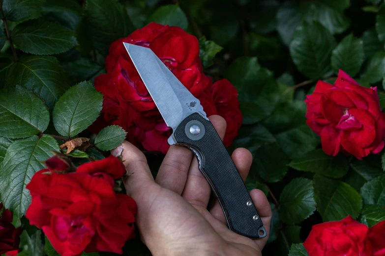 a person holds a small knife near flowers