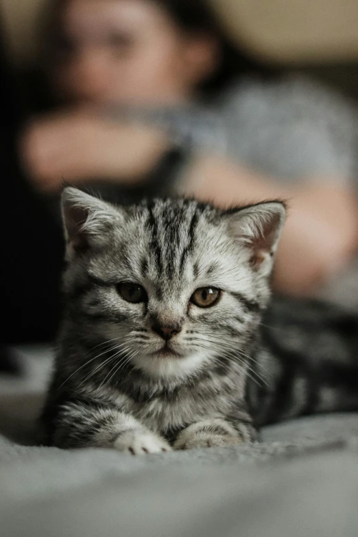 a kitten laying on a bed next to a woman