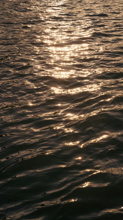 the calm sea water with the sun reflecting on the water