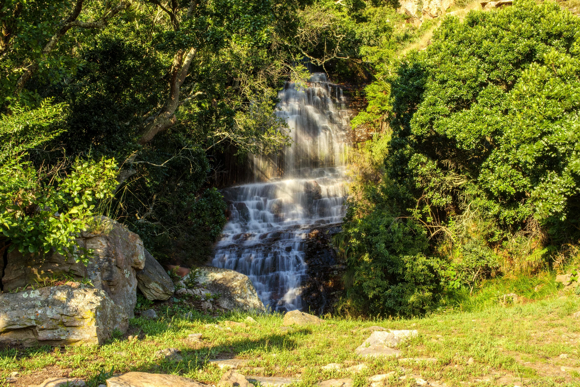 a waterfall with trees growing around it on a hillside