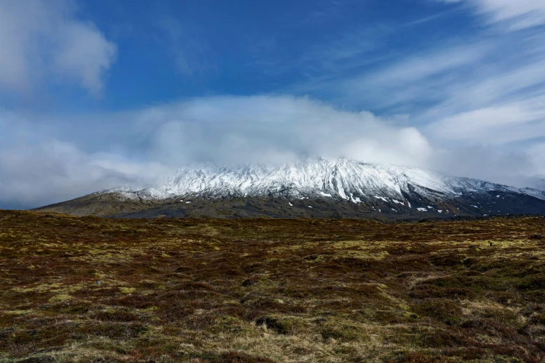 a field with a snowy mountain and some clouds in the distance