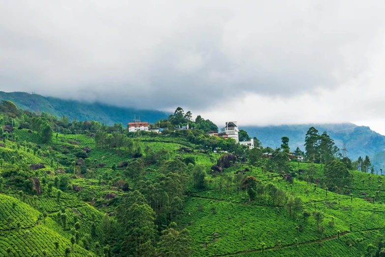 a hillside that has green grass and houses on it