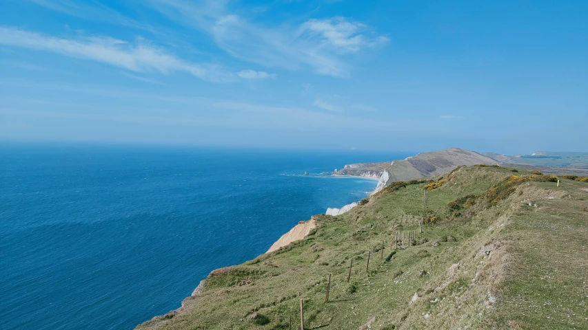 grass growing along the edge of a cliff next to water