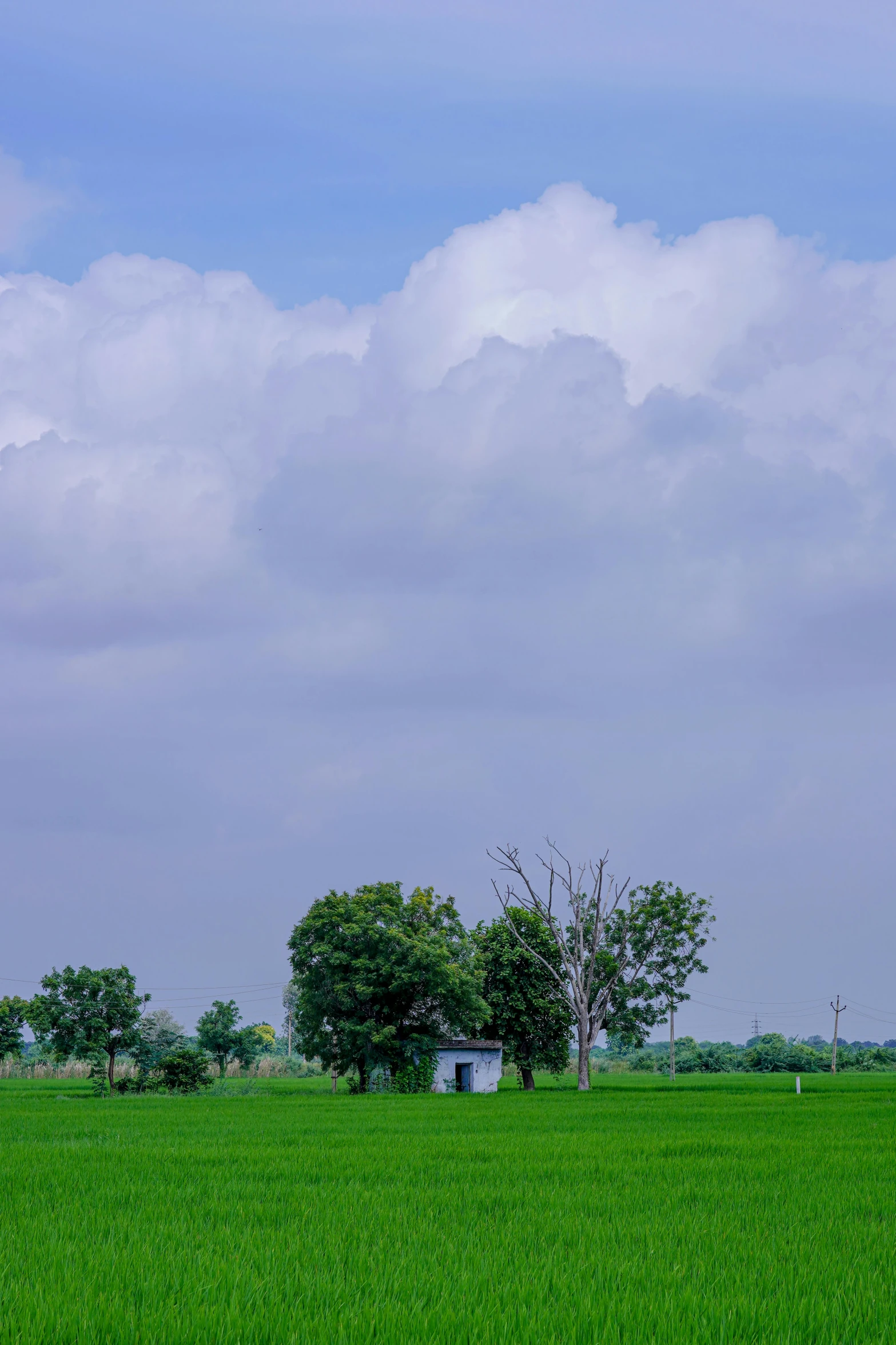 a large green field under a cloudy sky