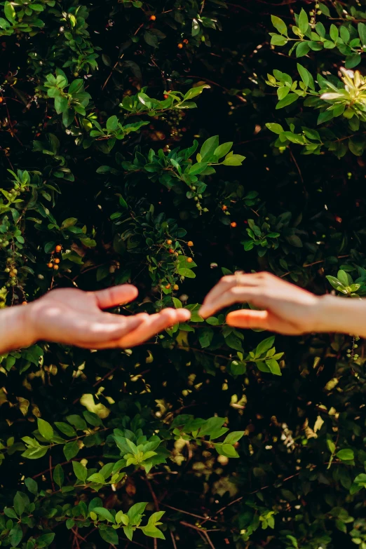 there are two people reaching out towards the sun