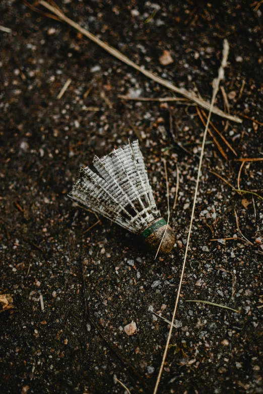 a broken piece of newspaper lying on the ground