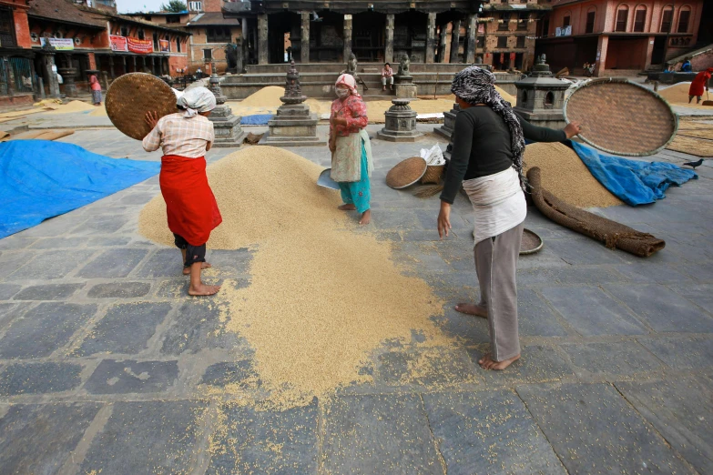 people are working on wheat seeds at the courtyard