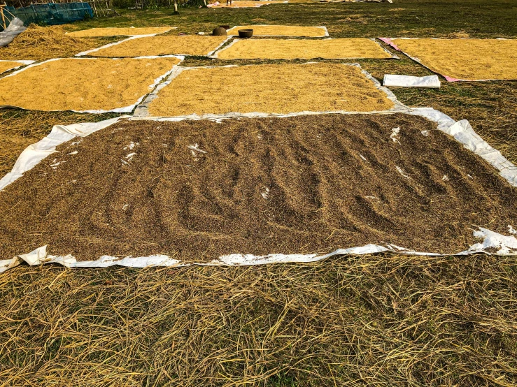 many bags with dirt near a grassy area