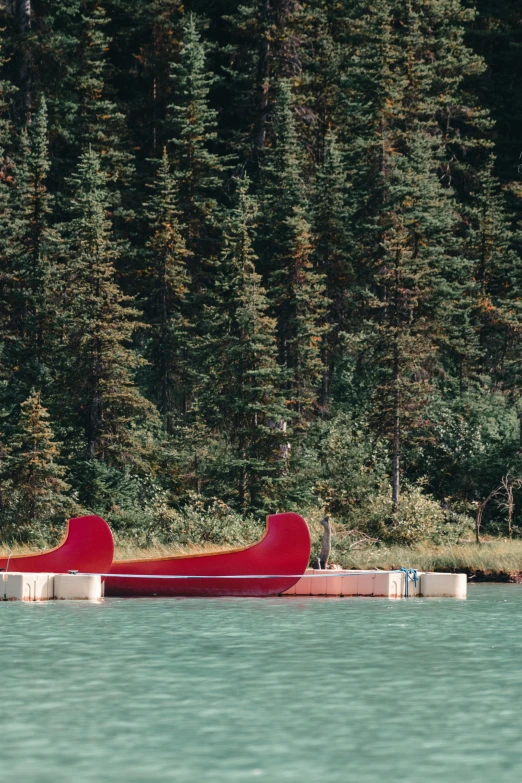 a canoe is tied to the bank of a lake