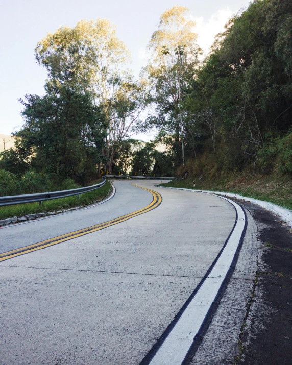 a curve in the road with trees and bushes