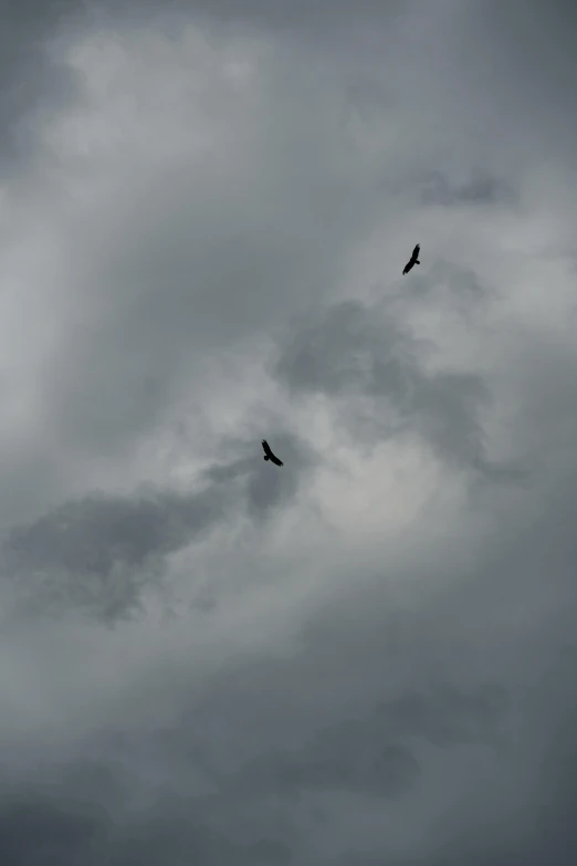 birds are flying high up in the cloudy sky