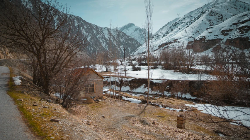 a view of snow covered mountains, trees and a road