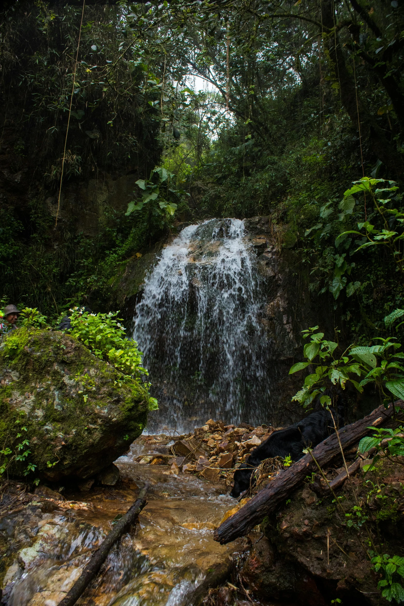 a waterfall is shown from the ground in front of trees