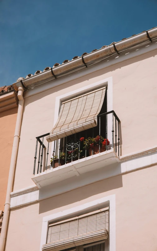 an open window with a planter and curtains on the balcony