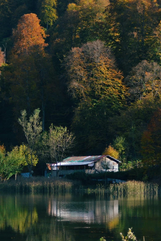 a small boat sitting on the shore of a lake