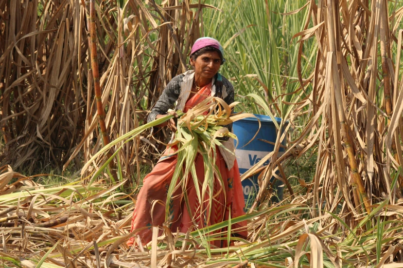 a woman standing in a field holding up corn