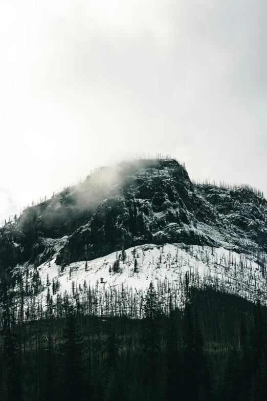 a very tall snow covered mountain with trees below