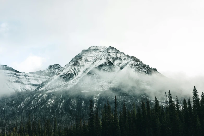 mountains covered in snow and trees on the side