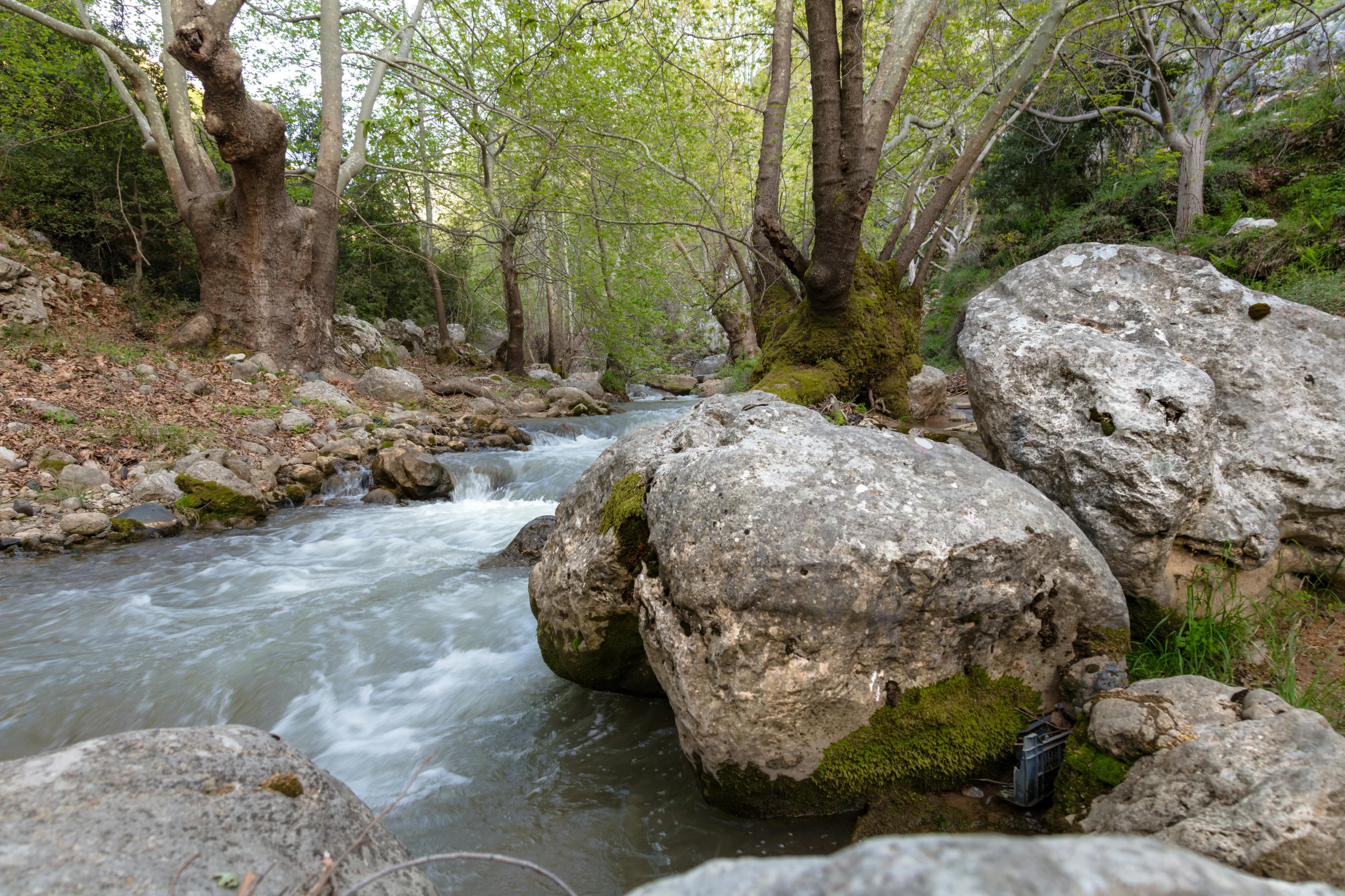 there is a small river with rocks and water running between them