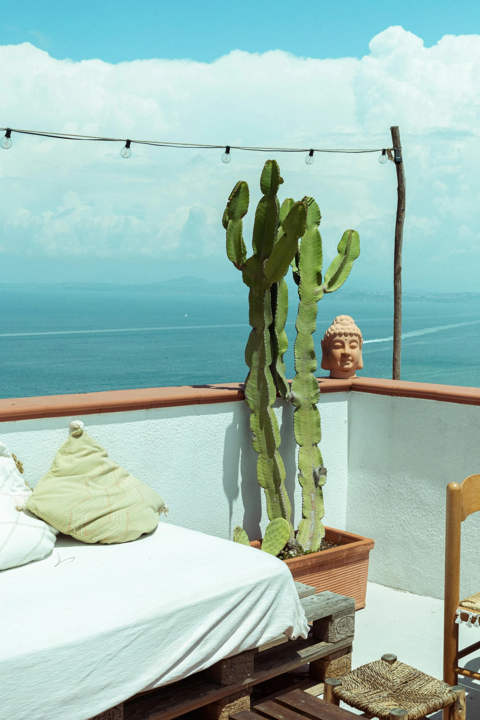 a large green cactus on a wooden deck above the water