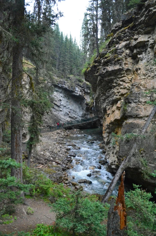 a creek flowing between rocky cliff formations surrounded by pine trees