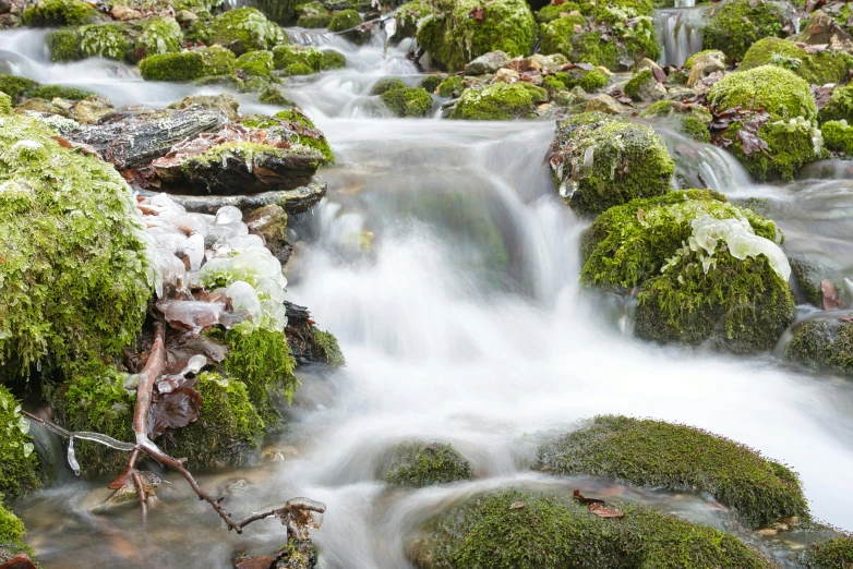 a small stream is running through a mossy landscape