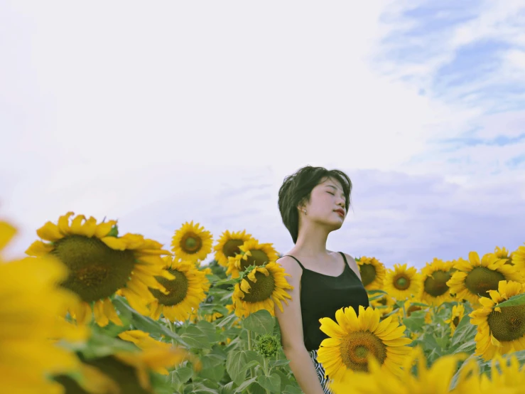 a woman stands in front of a field of sunflowers