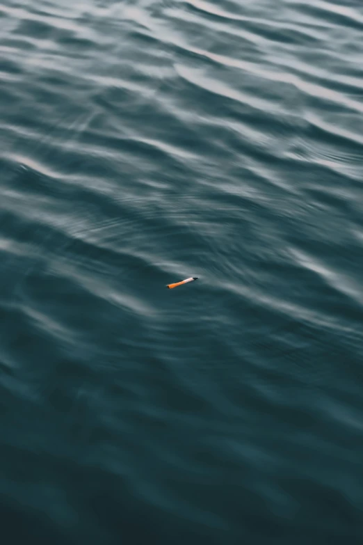 there is a piece of paper floating in the water