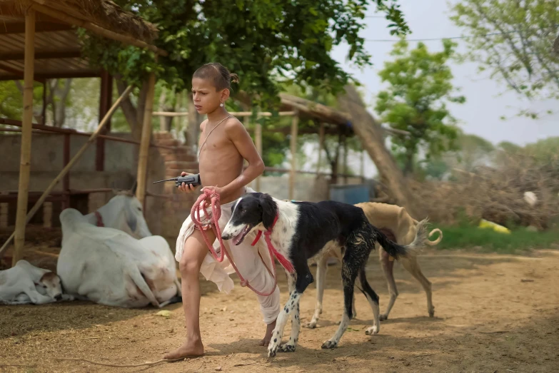 a  is riding on top of a small dog